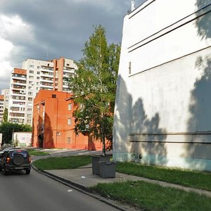 Kosmonavtov Street, 110А, Lipetsk: photo