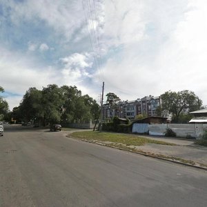Zeyskaya Street, 252, : foto