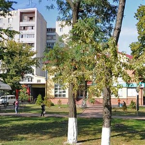 Vulytsia Shevchenka, 4Г ، : صورة