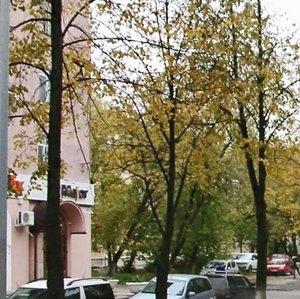 Komsomolsky Avenue, 82, Perm: photo