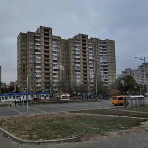 Akademika Yefremova Street, 17, Kyiv: photo