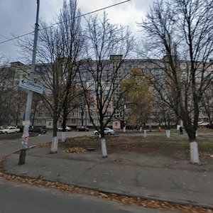 Yakuba Kolasa Street, 6, Kyiv: photo