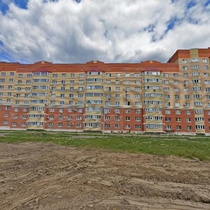 Lunnaya Street, 21, Domodedovo: photo