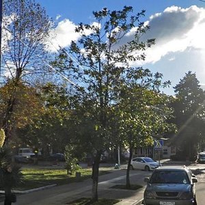 Sverdlova Street, 80, Sochi: photo