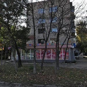 Vulytsia Shevchenka, 112А, Chernihiv: photo