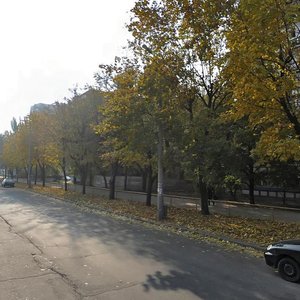 Shkilna vulytsia, 24, Zaporizhia: photo