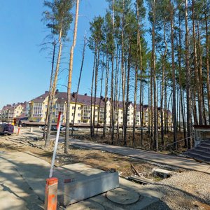 Ocheretina Street, 13, : foto