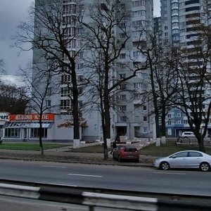 Peremohy Avenue, No:107, Kiev: Fotoğraflar