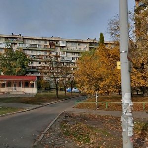 Pavla Tychyny Avenue, 3, Kyiv: photo