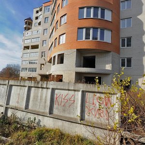 Zaporizka vulytsia, 19, : foto