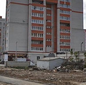 Ulitsa Sokolova-Sokolyonka, 29, Vladimir: photo