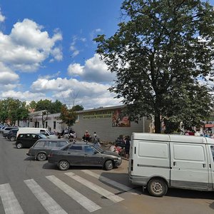 Prospekt Uritskogo, 46, : foto