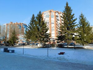 Омск, Улица Декабристов, 98: фото