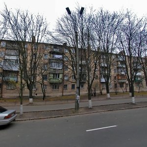 Heroiv Sevastopolia Street, 26, Kyiv: photo