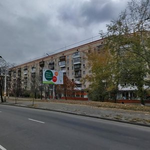 Vasylia Zhukovskoho Lane, 2/100, Kyiv: photo