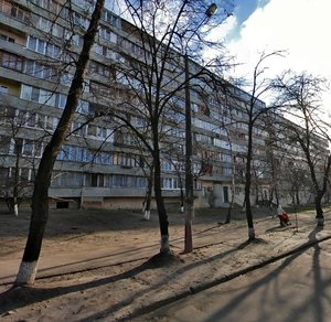 Otto Shmidta Street, 35-37, Kyiv: photo