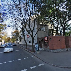 Vulytsia Skrypnyka, 14, : foto