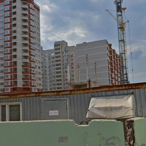 Vladimira Nevskogo Street, 38/3, : foto