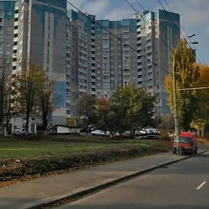 Nauky Avenue, 54Б, Kyiv: photo