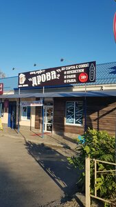 Prospekt Chekhova, 310, : foto