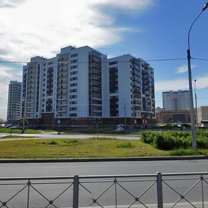 Bogatyrskiy Avenue, 64к1, : foto