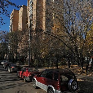 Institutsky Lane, 12, Moscow: photo