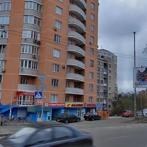 Viacheslava Chornovola Street, 2, Kyiv: photo