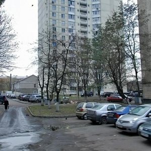 Oleksandra Pyrohovskoho Street, 19к1, Kyiv: photo