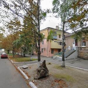 Zaporizka vulytsia, 5, Kamianske: photo