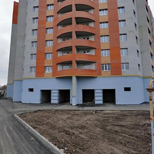 Novosyolov Street, 37к1, Ryazan: photo