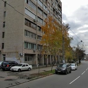 Mikhaila Boichuka Street, 25А, Kyiv: photo