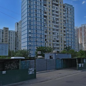 Drahomanova Street, 8, Kyiv: photo