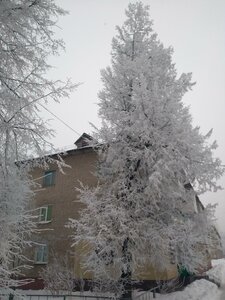 Ulitsa Neftyanikov, 15 ، : صورة