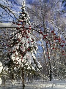 Tereshkovoy Street, 12, Novosibirsk: photo