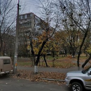 Sholom-Aleikhema Street, 9, Kyiv: photo