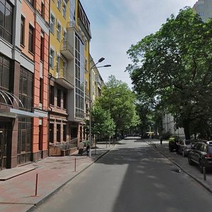 Panasa Myrnoho Street, 4, : foto