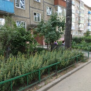 Владимир, Улица Лакина, 139Б: фото