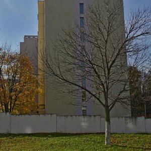 Минск, Улица Лейтенанта Кижеватова, 60к3: фото