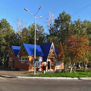 Зеленодольск, Улица Татарстан, 20А: фото