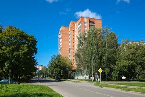 Karyakinskaya ulitsa, 88, Rybinsk: photo