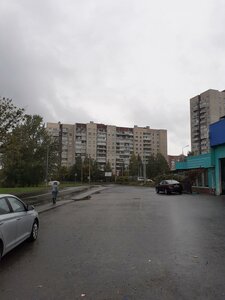 Verbnaya Street, 20/2, Saint Petersburg: photo