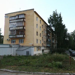 Narodovolcheskaya Street, 40, Perm: photo