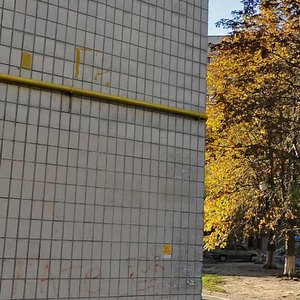 Kovalskyi Lane, 22А, : foto