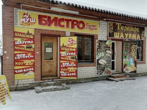 Ulitsa Pushkina, 105, Kamishin: photo