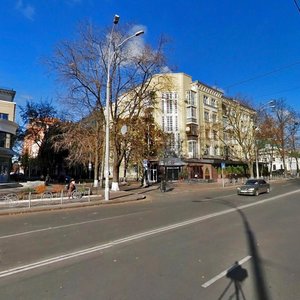 Moskovska Street, 44/2, Kyiv: photo