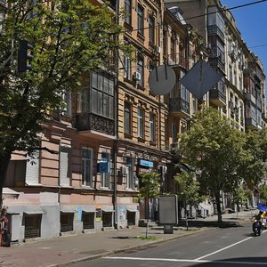 Sichovykh Striltsiv Street, 14, Kyiv: photo