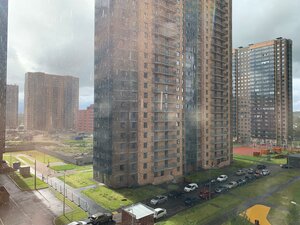 Санкт‑Петербург, Толубеевский проезд, 38к3: фото