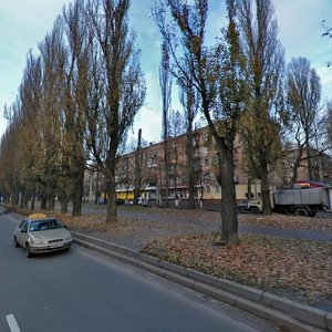 Vatslava Havela Boulevard, 79, Kyiv: photo