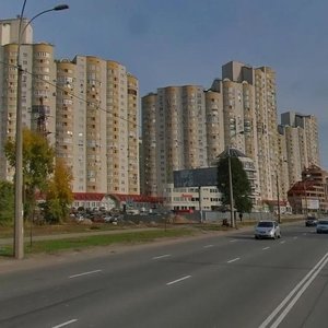 Dniprovska Embankment, 17А, Kyiv: photo