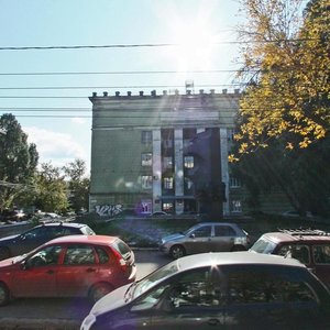 Chapaevskaya Street, 176, Samara: photo